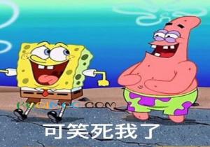 笑死我了是什么意思