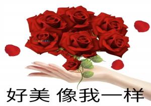 我太美了是什么意思