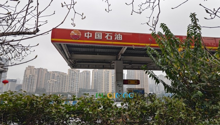 加油后逃单的保时捷男司机落网了