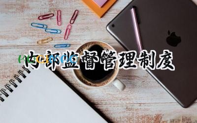内部监督管理制度 公司内部监督管理制度