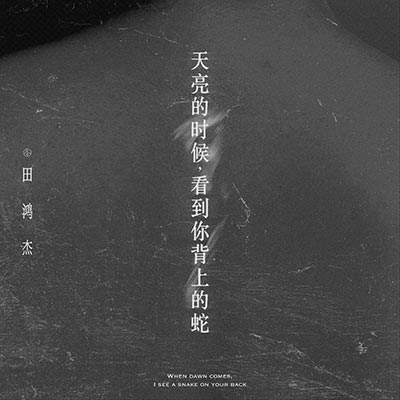 天亮的时候，看到你背上的蛇歌词  -  田鸿杰