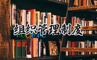组织管理制度 组织管理制度模式范文