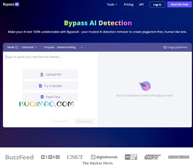 BypassAI网站截图
