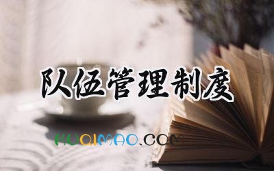 队伍管理制度 团队管理的规章制度