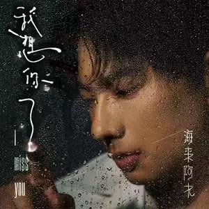 我想你了歌词 - 海来阿木