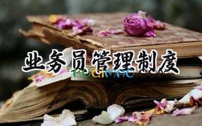 业务员管理制度 业务员管理办法及规章制度