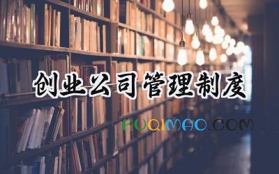 创业公司管理制度 创业团队管理规章制度