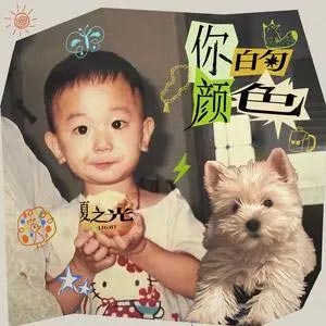 你的颜色歌词 - 夏之光