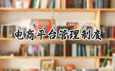 电商平台管理制度 电商平台公司管理制度