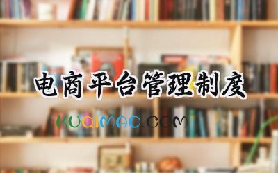 电商平台管理制度 电商平台公司管理制度