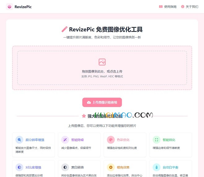RevizePic网站截图