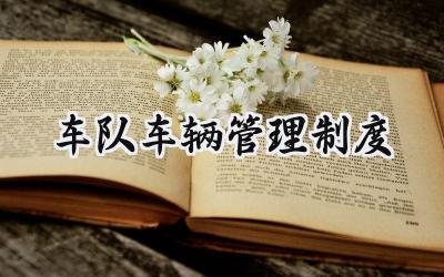 车队车辆管理制度 车辆使用管理制度管理制度