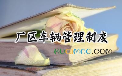 厂区车辆管理制度 进入厂区车辆安全管理规定