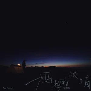 妈妈的眼睛歌词 - 张震岳