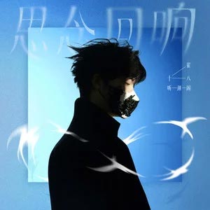 思念回响歌词  -  崔十八/听潮阁