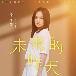 未来的昨天歌词  -  徐佳莹