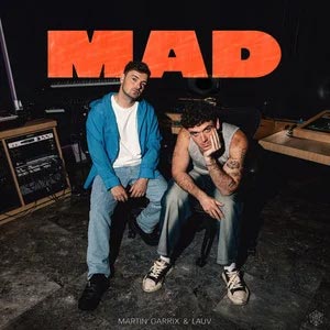 MAD歌词 - Martin Garrix/Lauv