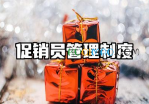 超市促销员管理制度 销售人员管理制度全解析