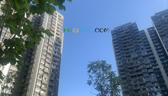 母女频繁高空抛物有邻居戴头盔出门