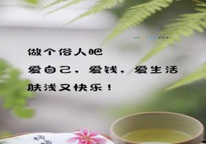 做个俗人吧，爱钱，爱自己，爱生活，肤浅又快乐！是什么意思