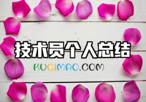 技术员个人总结年度个人总结 技术员个人工作总结范文