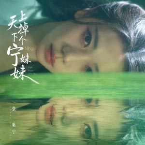 天上掉下个宁妹妹歌词 - 张紫宁