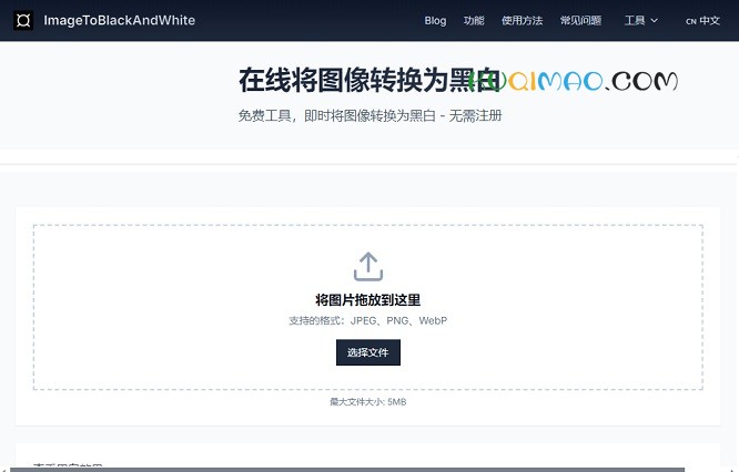 黑白图像转换网站截图