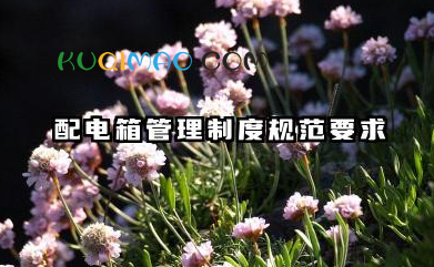 配电箱管理制度规范要求 配电箱安全管理规定范文