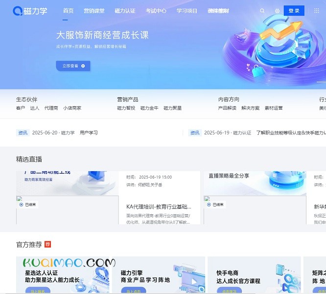 磁力学网站截图