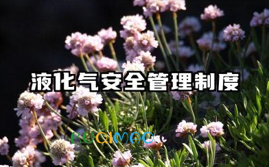 液化气安全管理制度模板 液化气安全生产管理制度范本