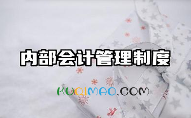 公司内部会计管理制度 内部财务会计管理制度