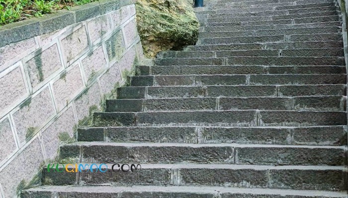 女子不小心从楼梯上滚落  翻滚数圈后坐在楼梯上