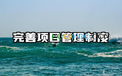 完善项目管理制度范文 完善工程项目管理体系模板