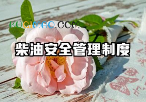 柴油安全管理制度规范标准 柴油存放安全管理制度范文