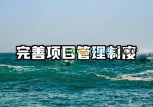 完善项目管理制度范文 完善工程项目管理体系模板