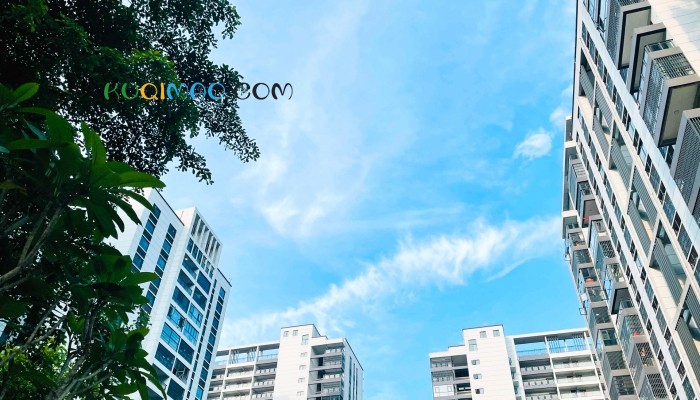 老年囤积行为频发 成社区治理新挑战