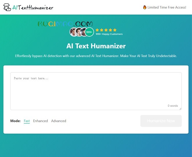 AI Text Humanizer网站截图