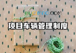 项目车辆管理制度内容 施工车辆管理制度