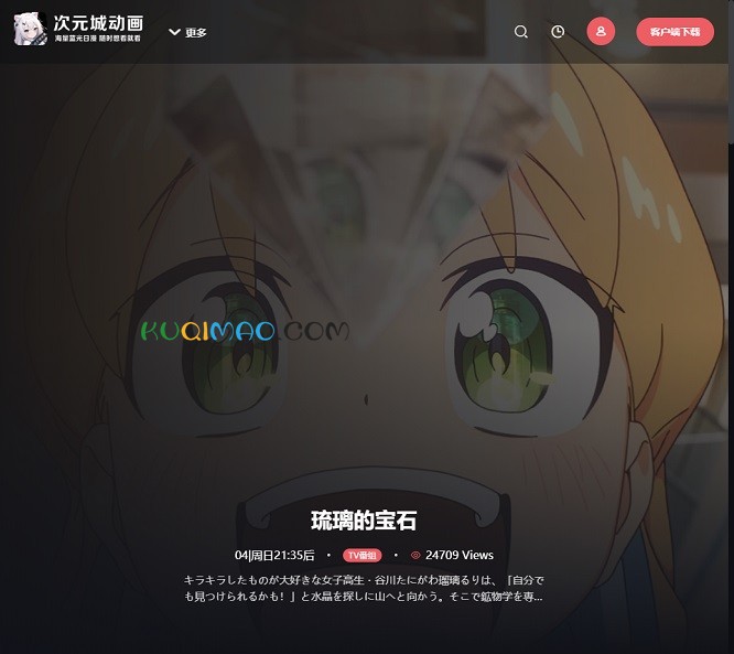 次元城动画网站截图