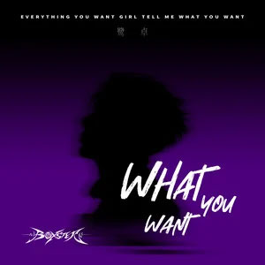 What You Want歌词 - 鹭卓