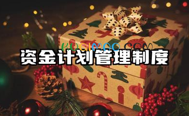资金计划管理制度范本 资金计划管理制度模板