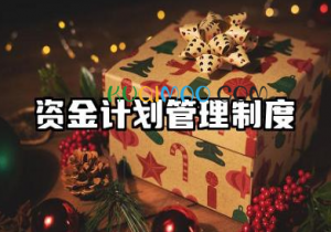 资金计划管理制度范本 资金计划管理制度模板