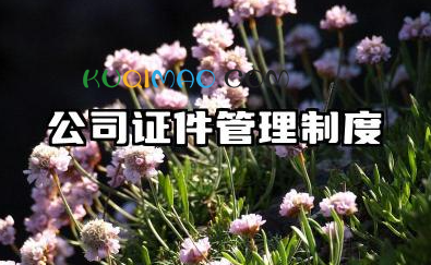 公司证件管理制度范本 公司证件借用管理制度