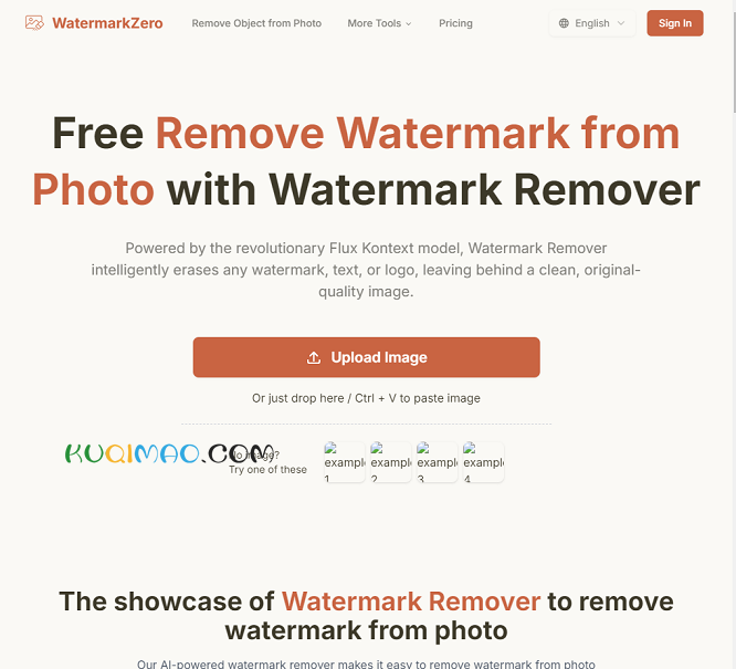 WatermarkZero网站截图