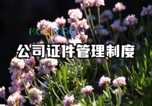 公司证件管理制度范本 公司证件借用管理制度