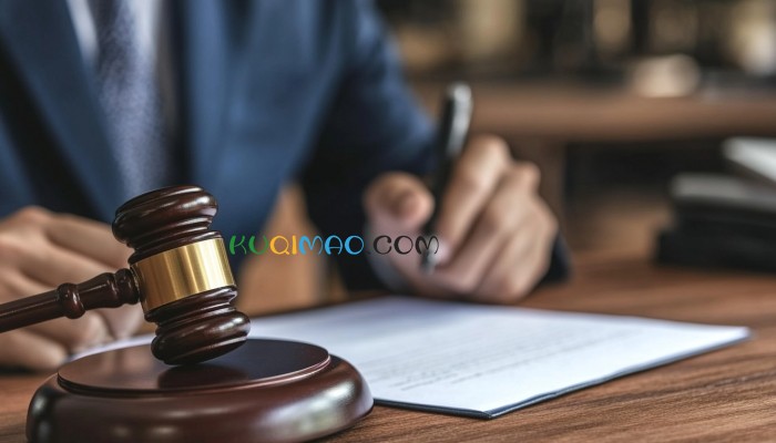 河南临颍通报小米轿车撞人事故 网传贫困证明系误传