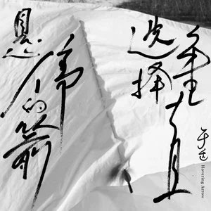 悬停的箭选择垂直歌词  -  于适
