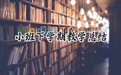 小班下学期教学总结2024年（10篇）