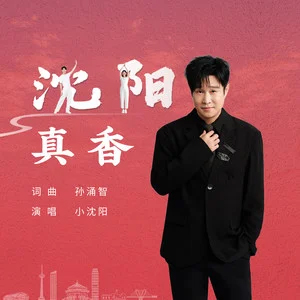 沈阳真香歌词  -  小沈阳
