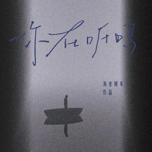 你在听吗歌词  -  海来阿木